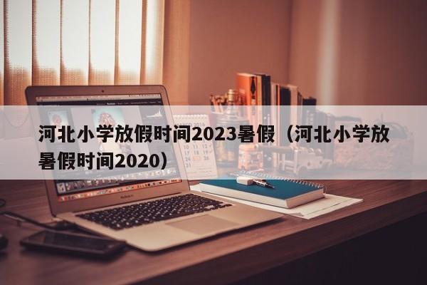 河北小学放假时间2023暑假（河北小学放暑假时间2020）
